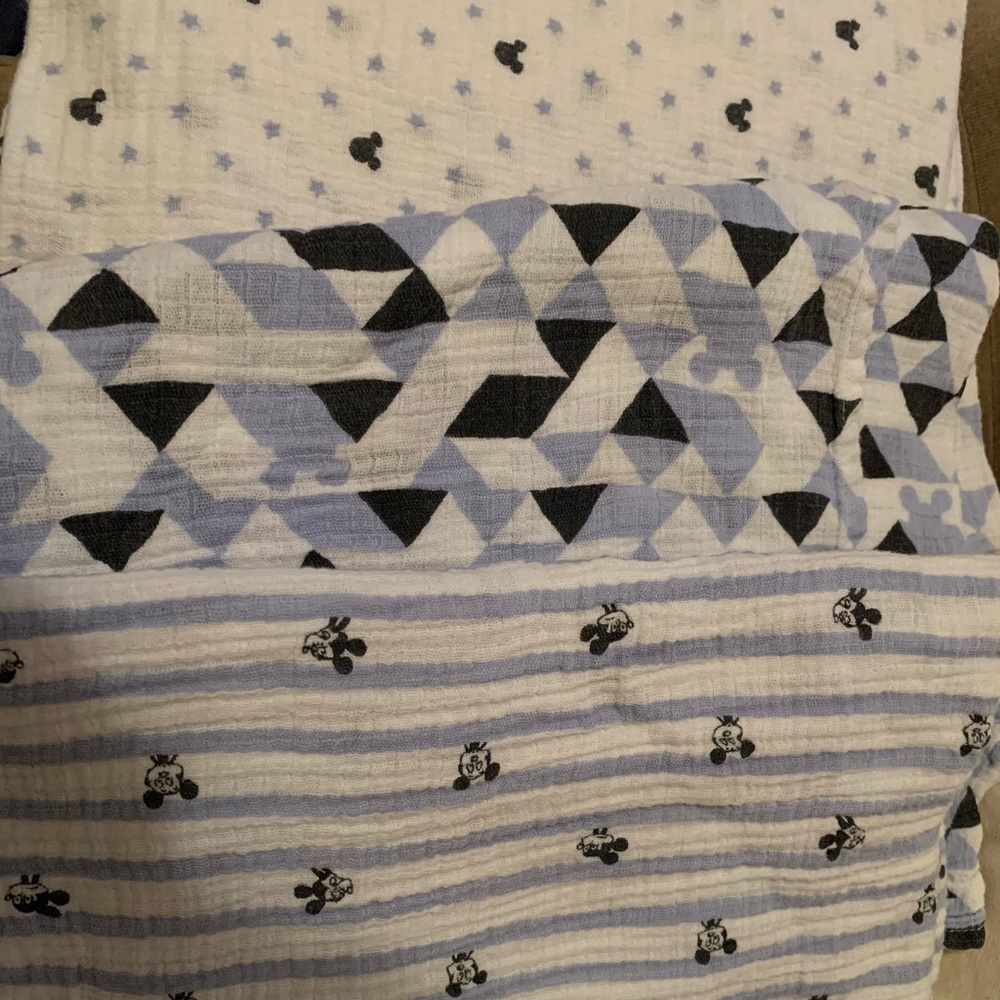 Aden by Aden and Anias Swaddle Blankets